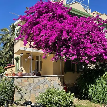 Villa Konak Club